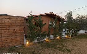 Luxury Wooden House